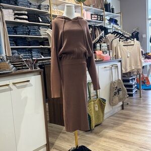 Bluivy Brown Hooded Maxi Dress